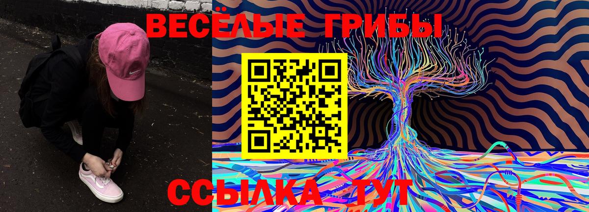 Псилоцибиновые грибы Psilocybe  Вход с VPN  Гудермес 