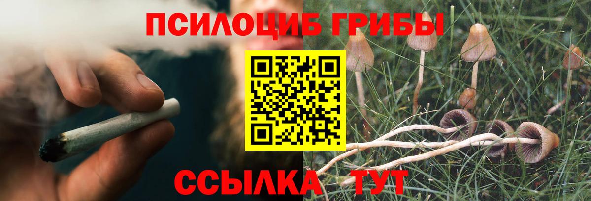 Псилоцибиновые грибы мицелий Гудермес